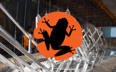 How A Twitching Frog’s Leg Sparked A Revolution In Galvanising!